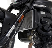 Ducati Monster 950 / Plus (2021) R&G Radiator Guard - RAD0276